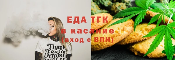 индика Володарск