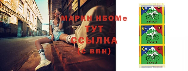 индика Володарск