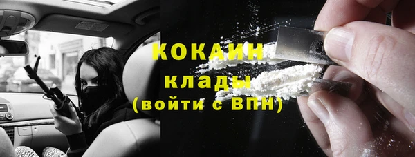 индика Володарск