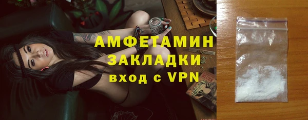 индика Володарск