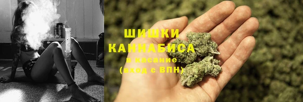 индика Володарск