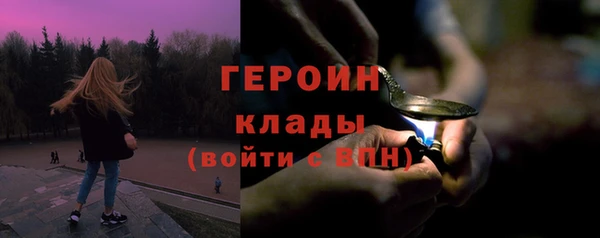 индика Володарск