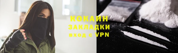 индика Володарск