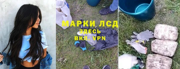 индика Володарск