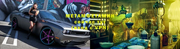 индика Володарск