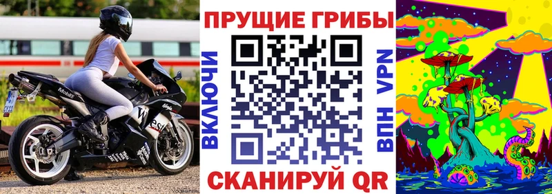 как найти   ссылка на мегу как зайти  Галлюциногенные грибы мухоморы  Ковров 